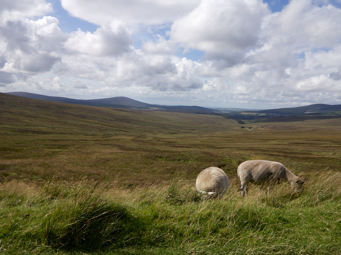 Wicklow Mountains