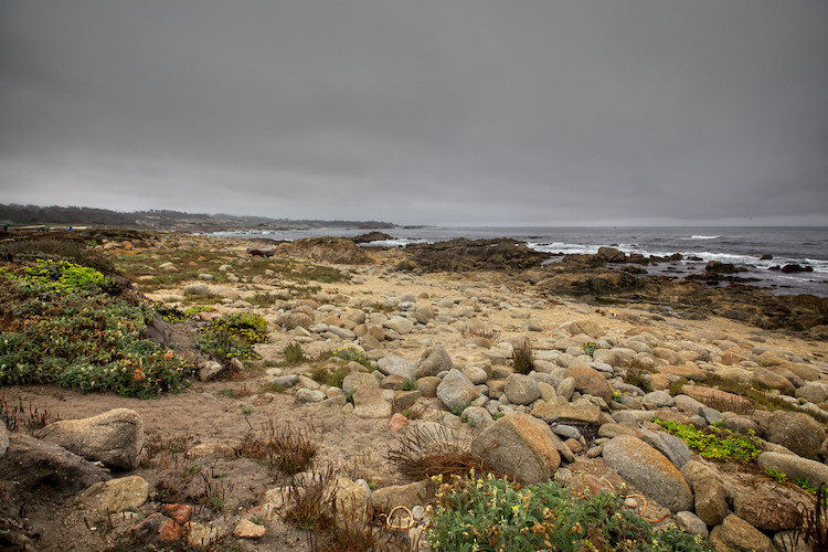 Monterey Bay, 17 Mile Drive