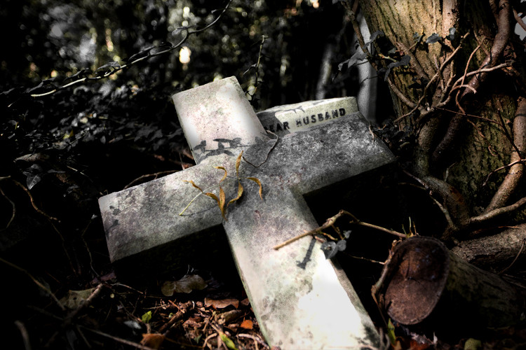 Dear Husband, Highgate Cemetery Park, East Cemetery, London. (2011)