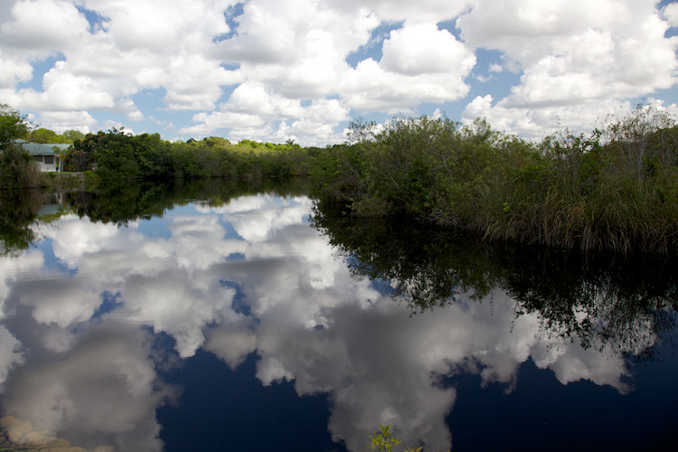 The Everglades National Park