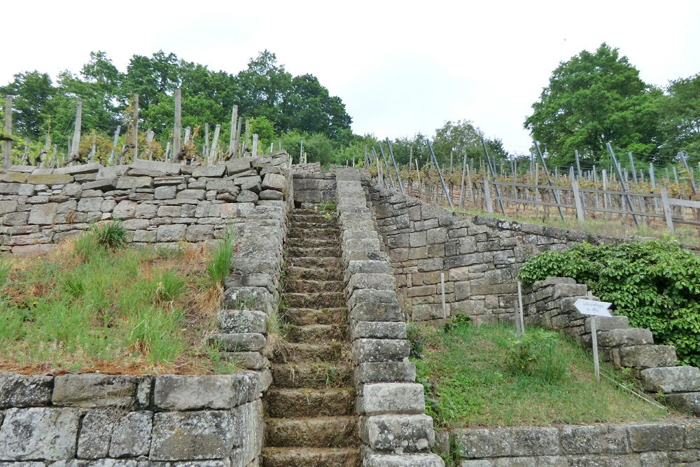 Maiwanderung, Abt-Degen-Steig 2014