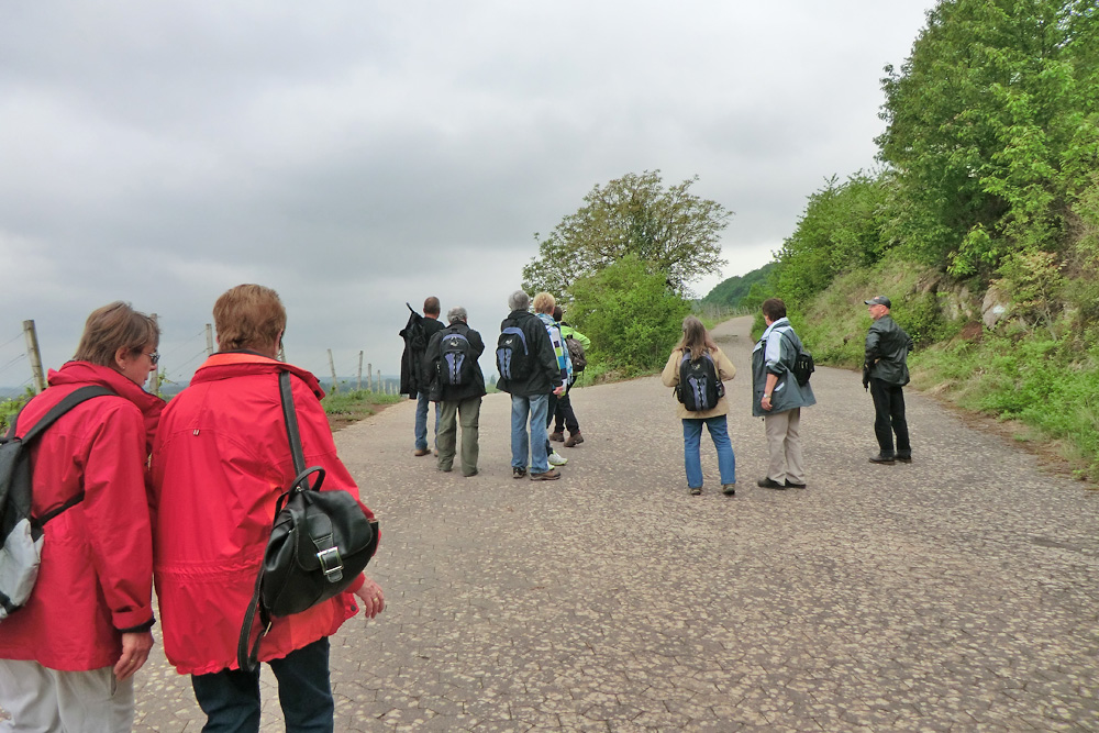 Maiwanderung, Abt-Degen-Steig 2014