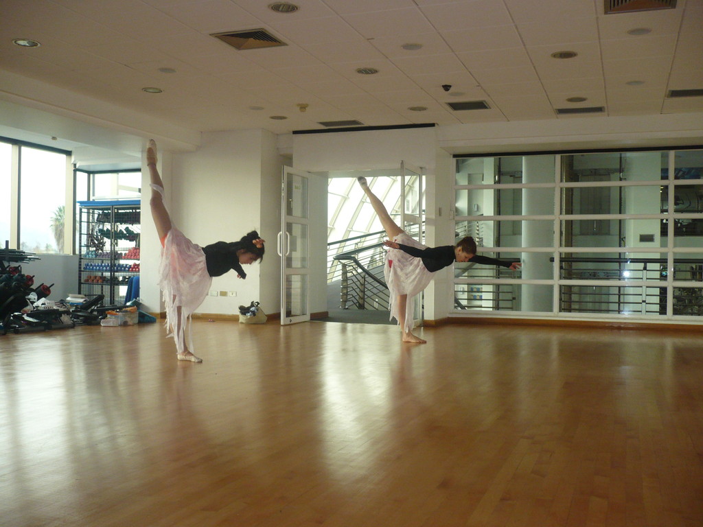 ensayo