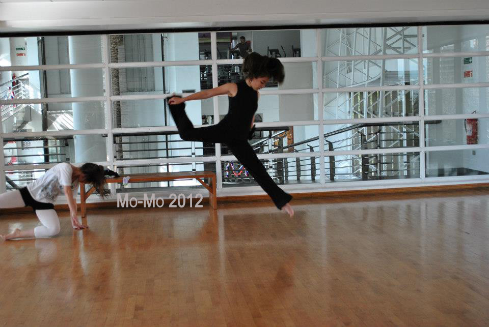 Ensayo Cía Mo-Mo
