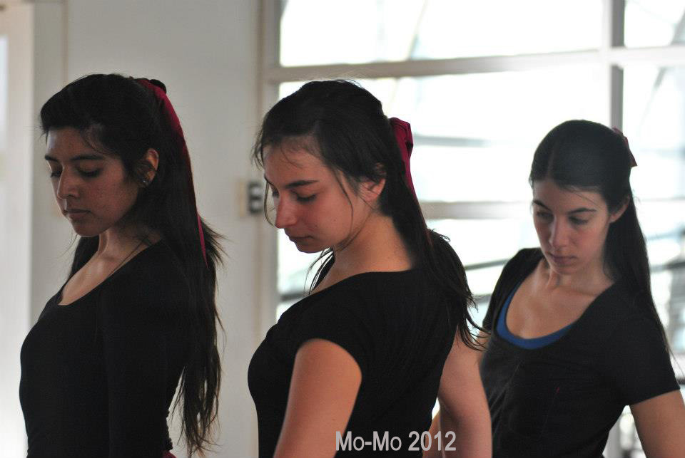 Ensayo Cía Mo-Mo