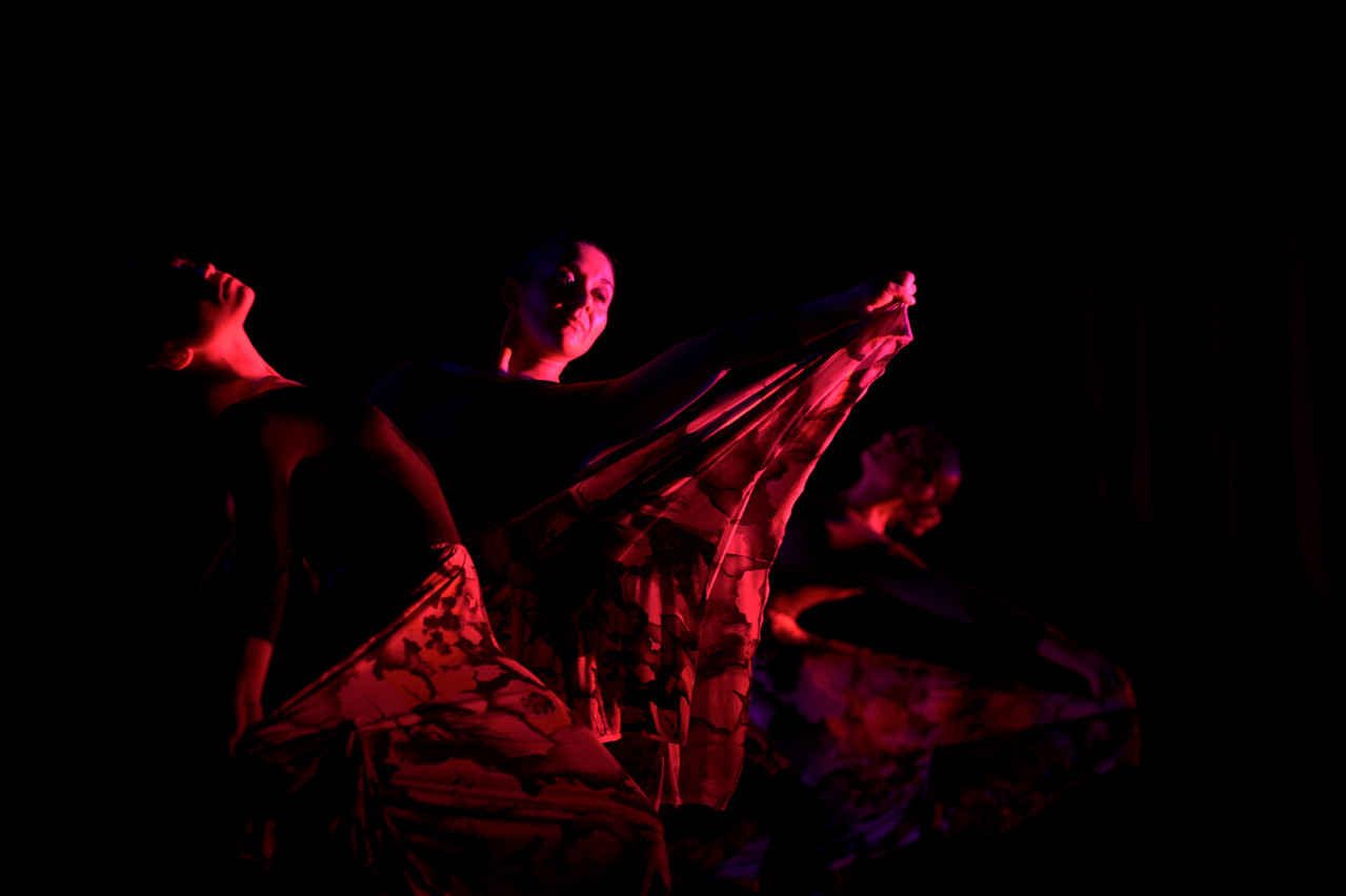 Cía Mo-Mo, Taller de danza Moderna Adultos principiantes