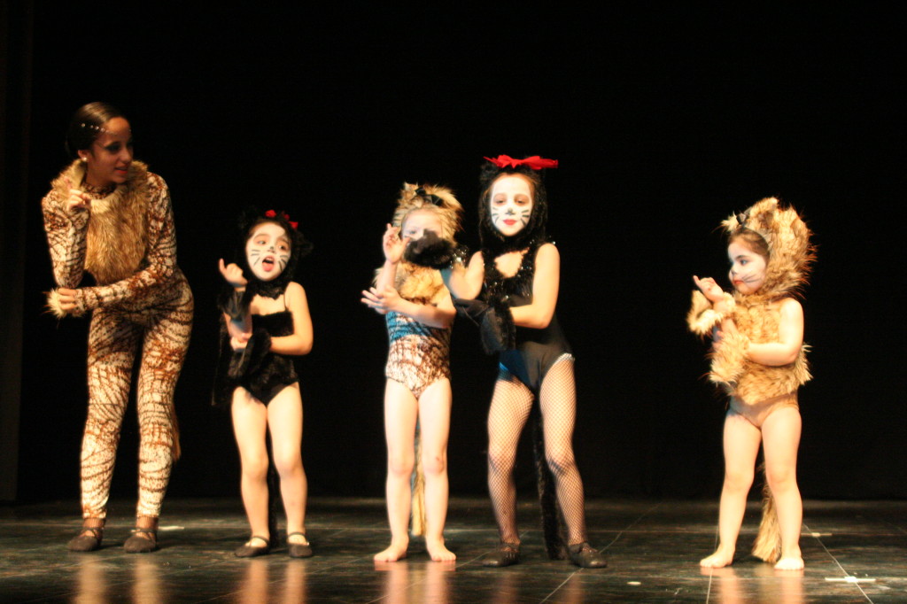 Cats dic 09 teatro facetas