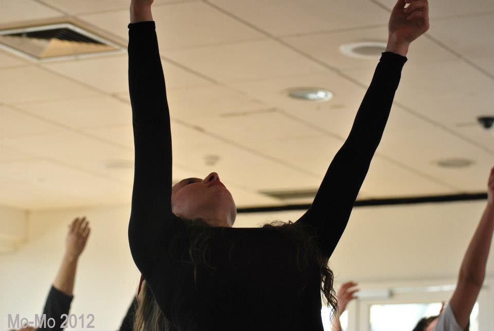 Ensayo Mo-Mo 2012