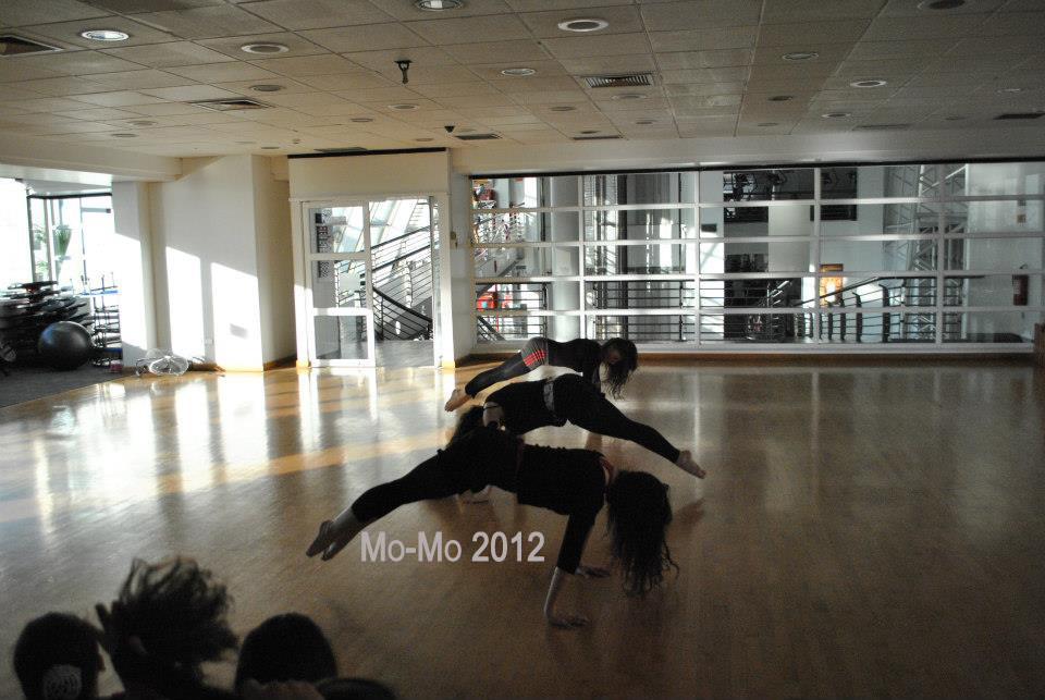 Ensayo Cía Mo-Mo