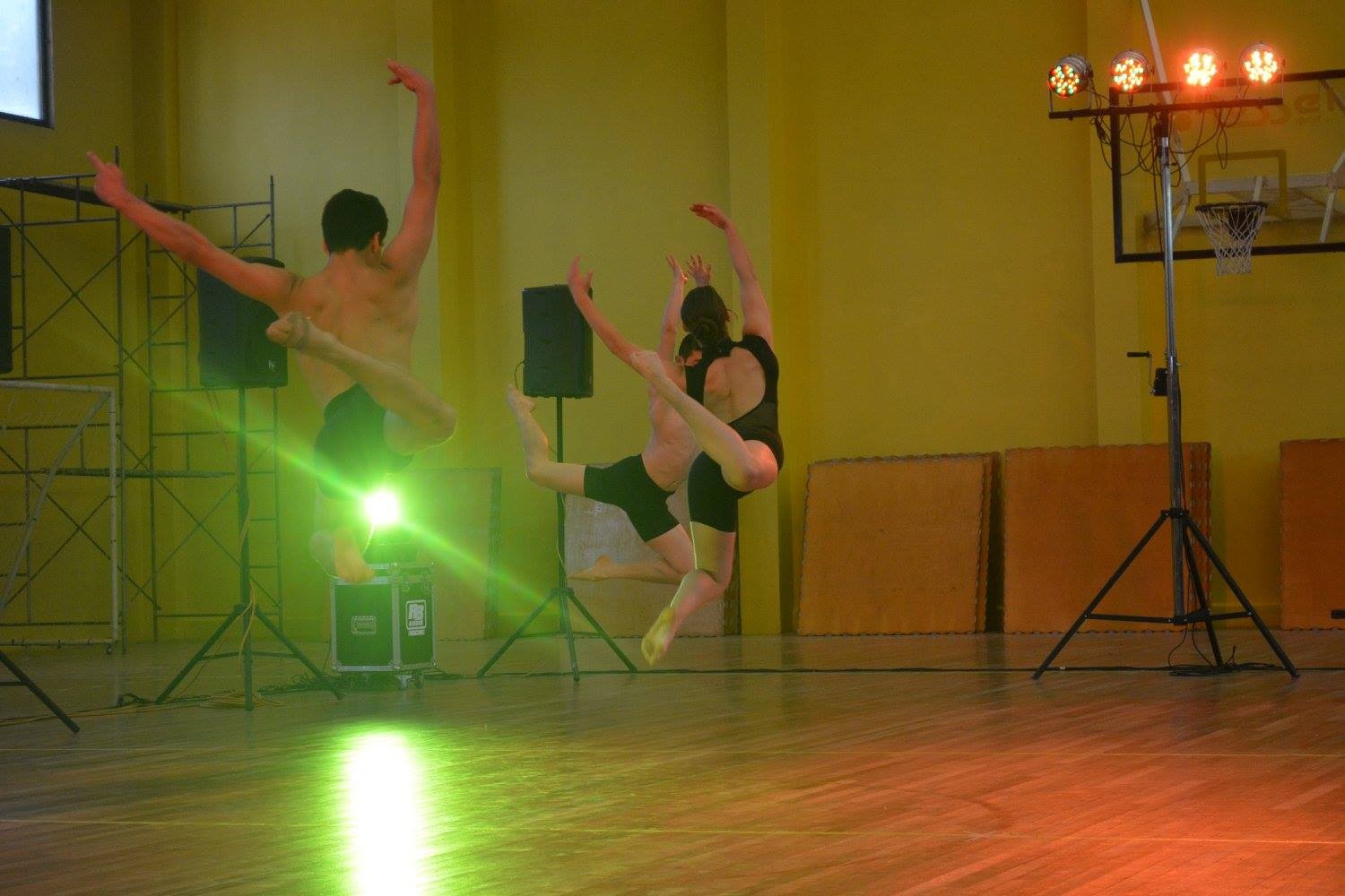 Muestra educativa Curico 2015 