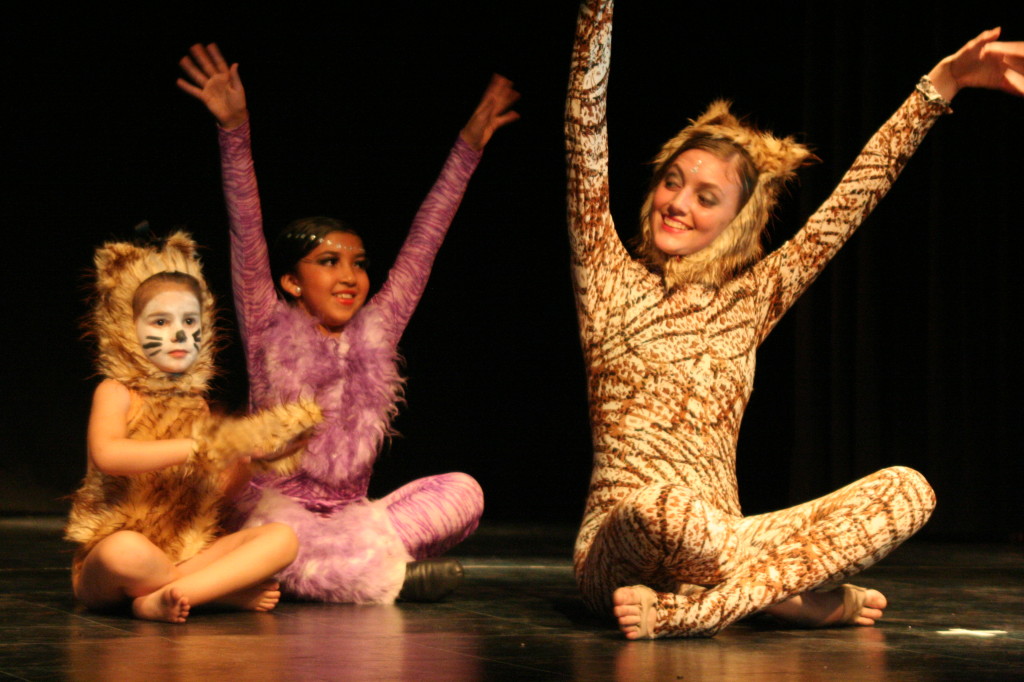 Cats dic 09 teatro facetas
