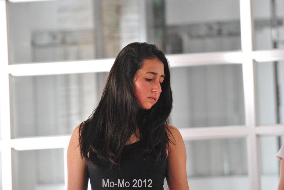 Ensayo Cía Mo-Mo