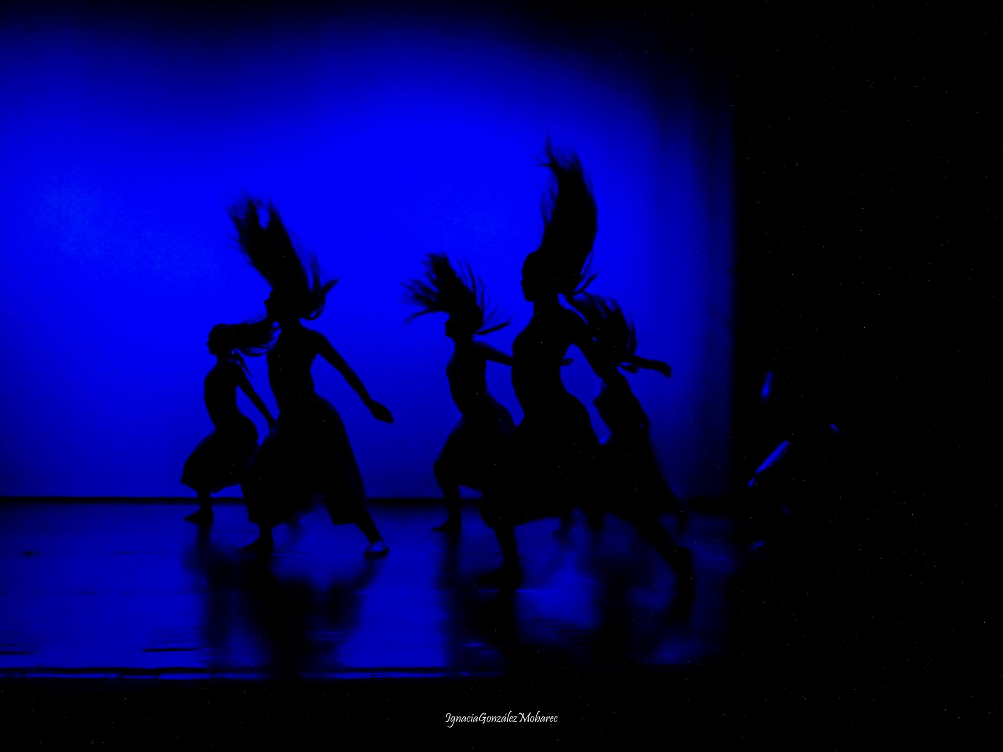 Cía. Mo-Mo Fotografía Ignacia González ene-2018 Quillota danza