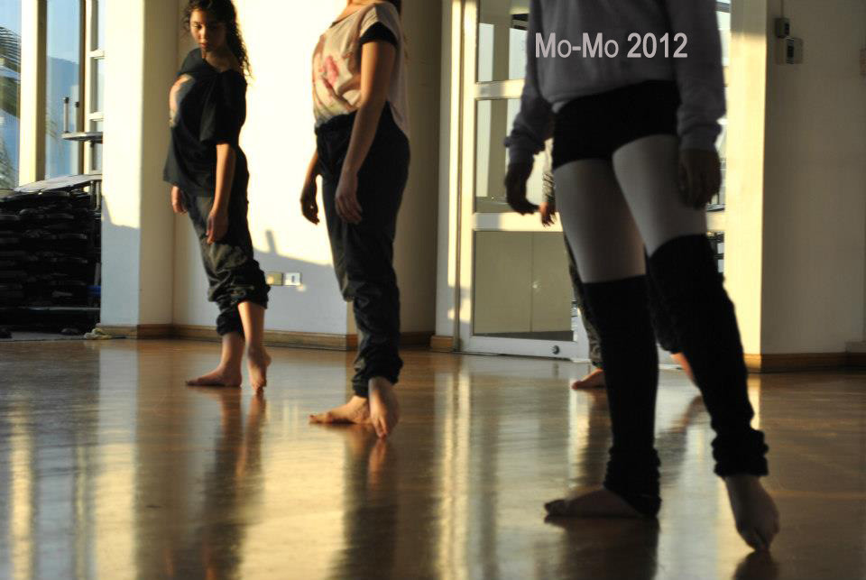 Ensayo Cía Mo-Mo