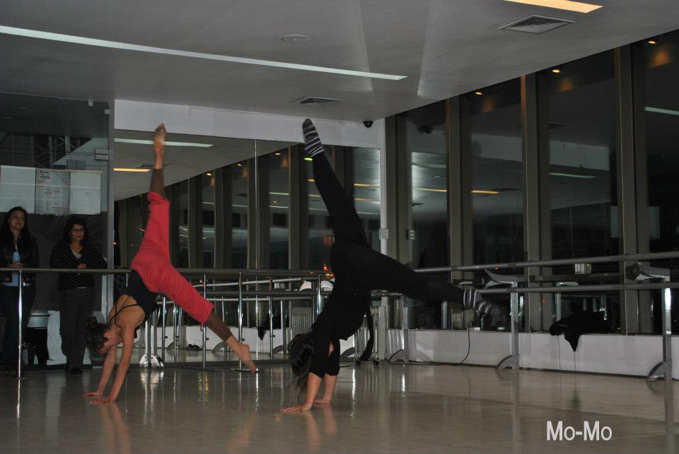 Ensayo Cía Mo-Mo