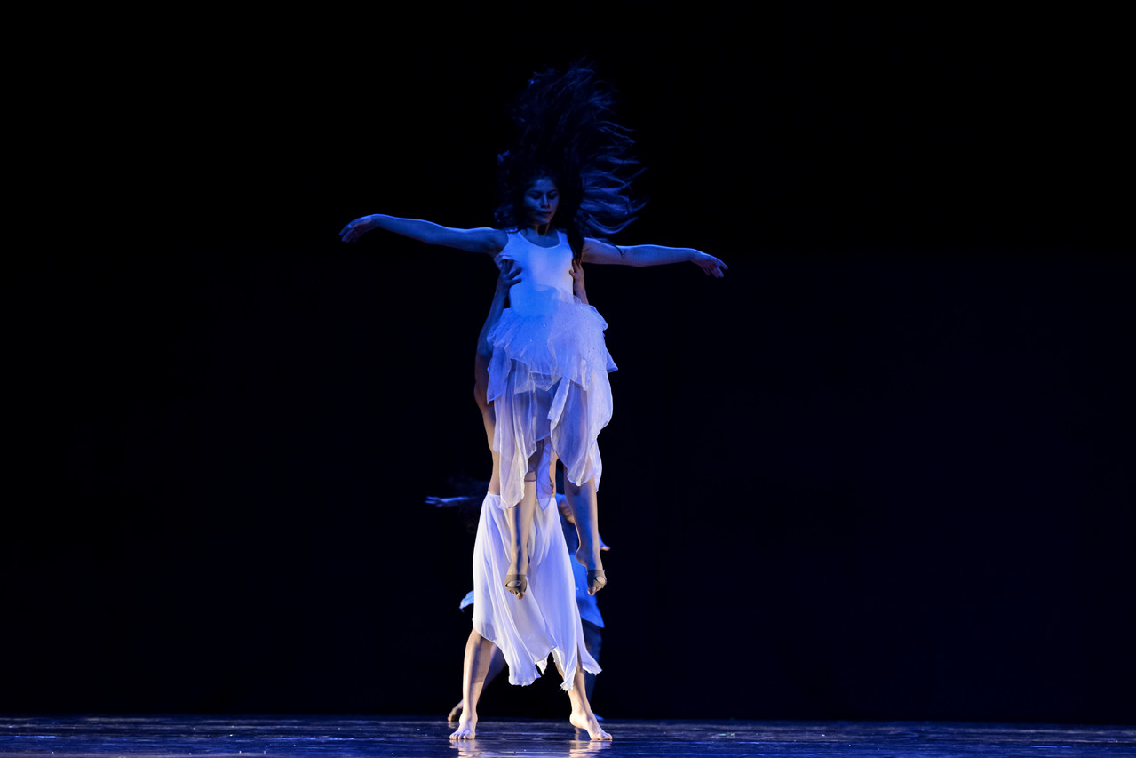 Cía. Mo-Mo premio Desterro, Florianópolis 2013