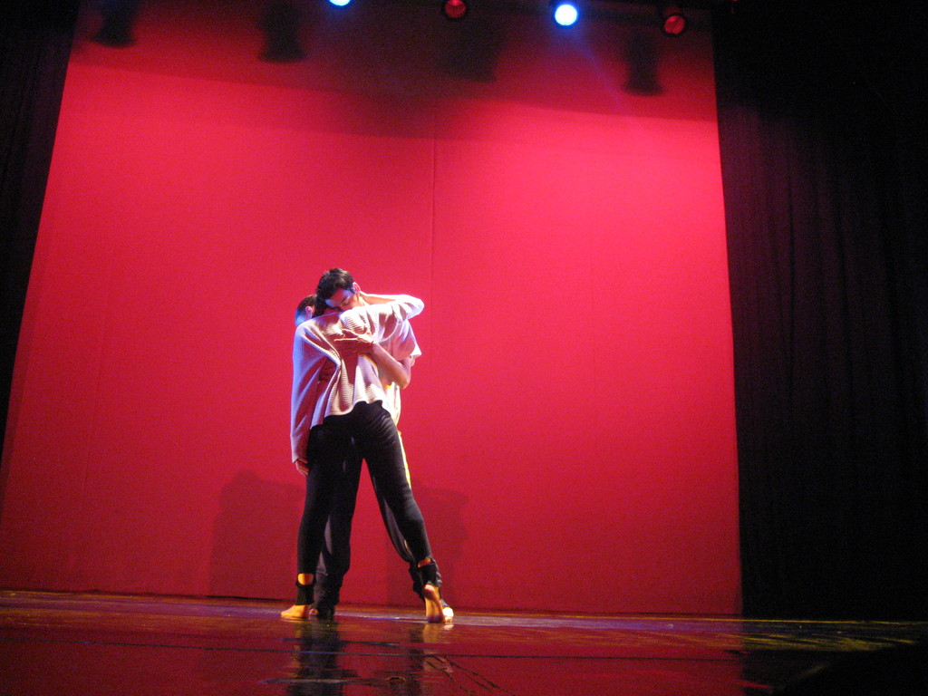 ensayo quillota danza Francisco e Isidora