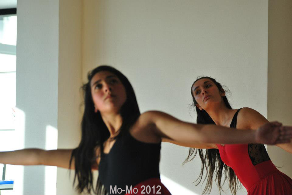 Ensayo Cía Mo-Mo