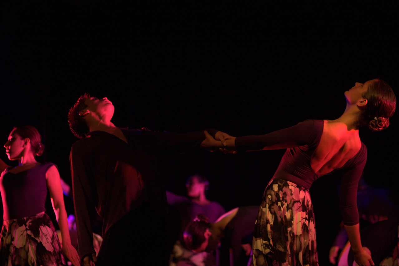 Cía Mo-Mo, Taller de danza Moderna Adultos principiantes