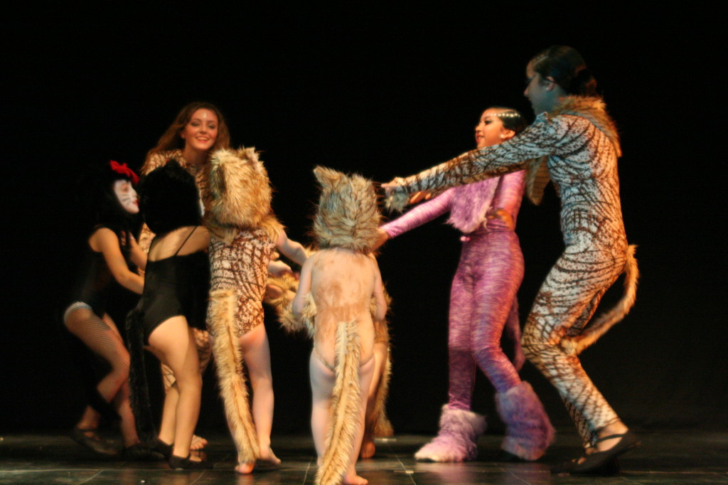 Cats dic 09 teatro facetas