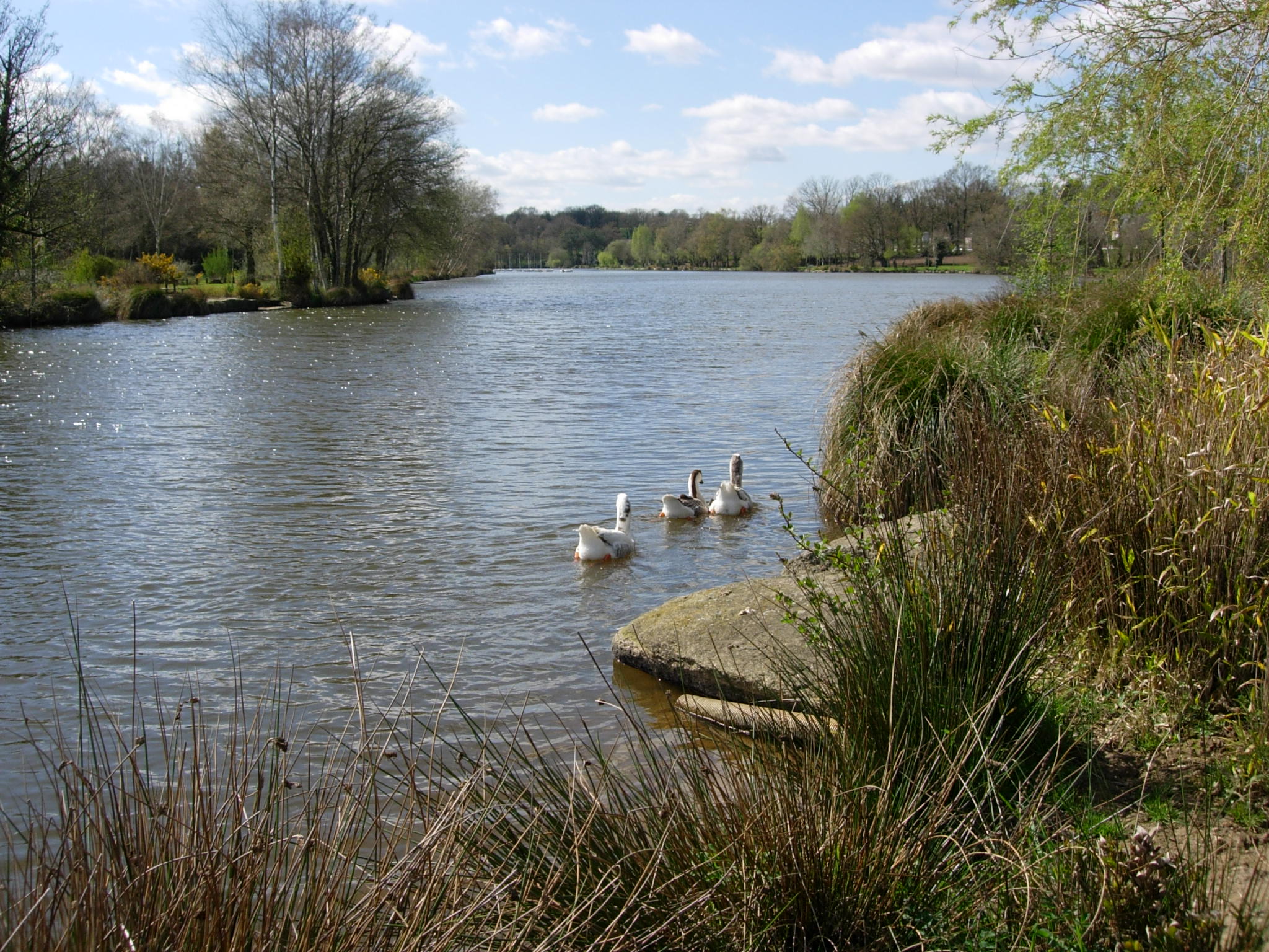 Bienvenue... Commune de Réguiny