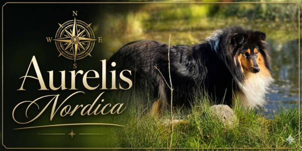 aurelis-nordica-colliess Webseite!