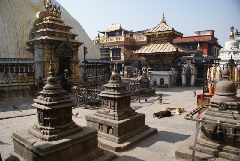 Swayambhunath (Monkey Tempel)