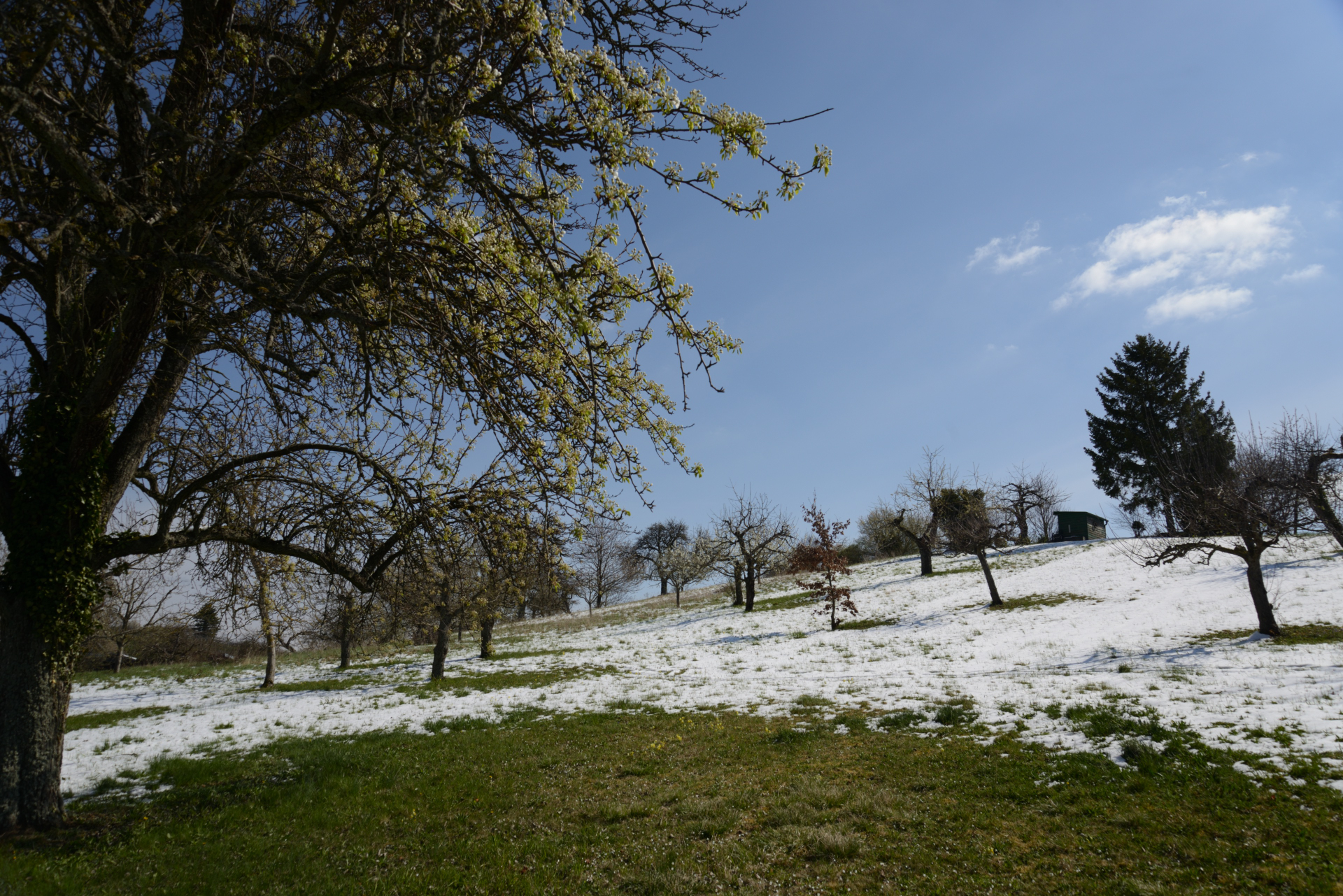 Wintereinbruch bremst nochmals den Frühling