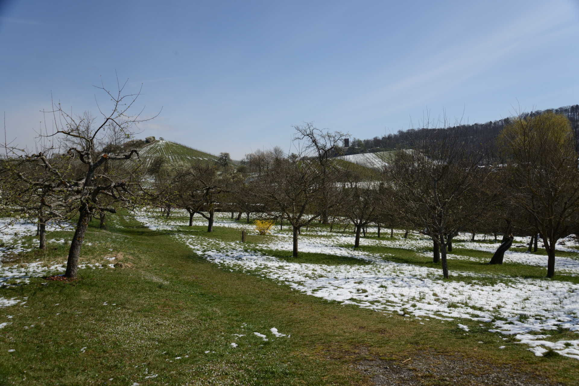 Nochmals ein Wintereinbruch