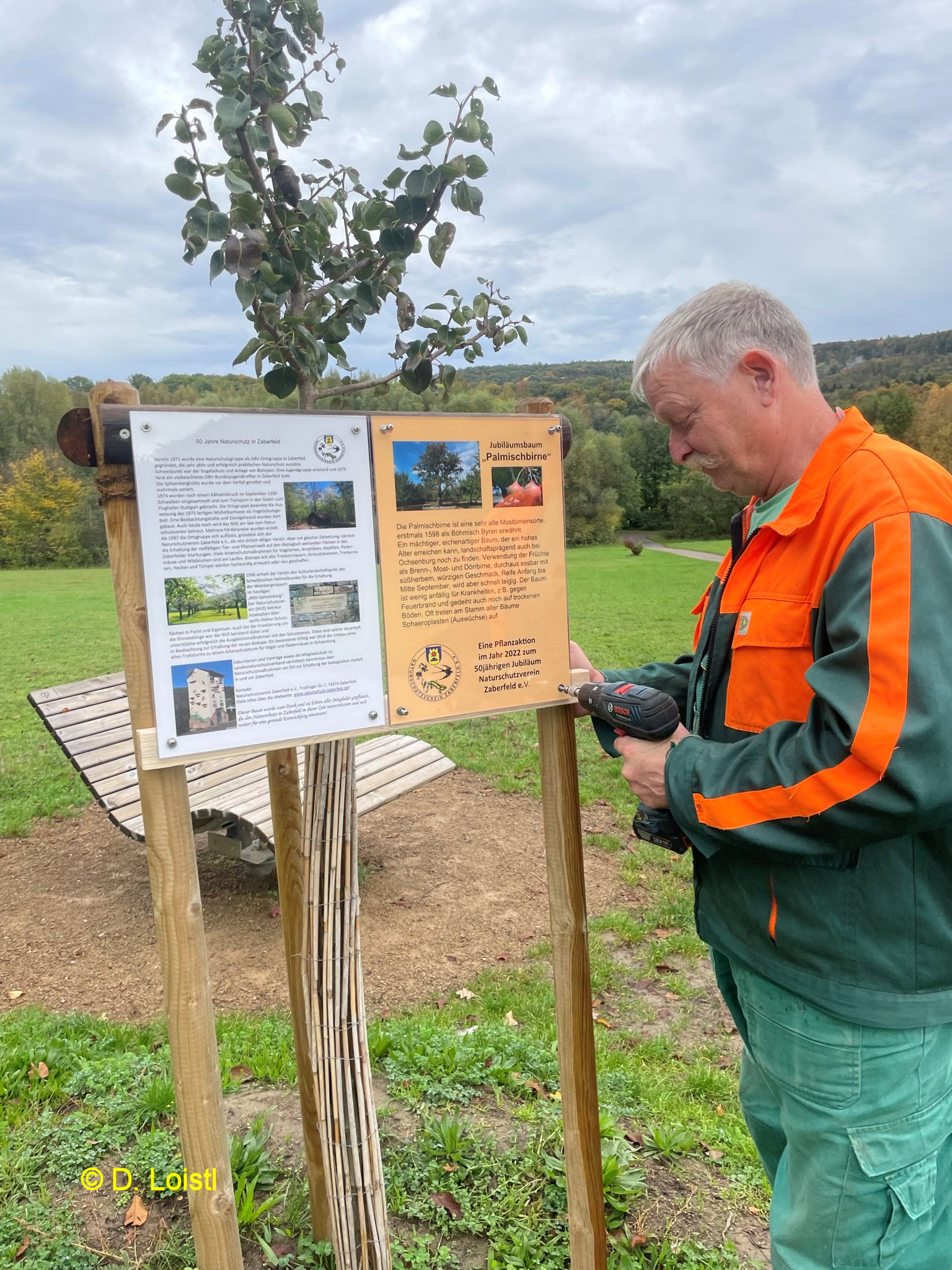 Dieter Loistl bringt die Tafeln zu "50 Jahre Naturschutz" und "Palmischbirne" an.