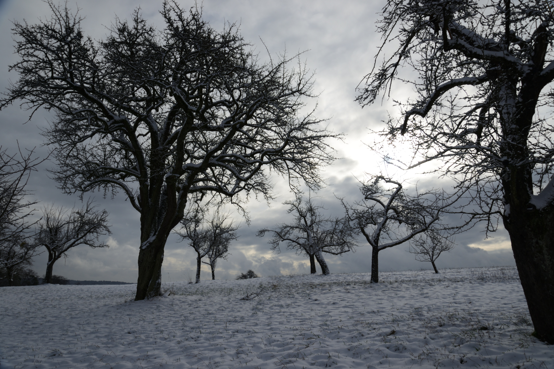 Streuobstwiesen im Stromberg