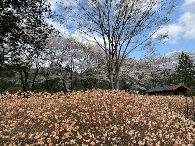 下落相場でもできることはあります