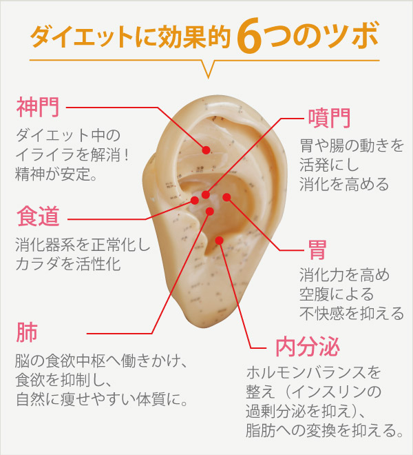 南風原町ダイエットサロン ビューティーサロン Chura 耳つぼダイエット 小顔矯正 セルライトゼロ