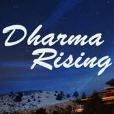 Bild zu Dharma rising - Schriftzug