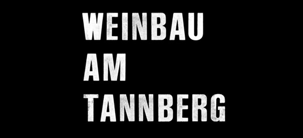 Weindegustation für Polterabend Sursee-Luzern