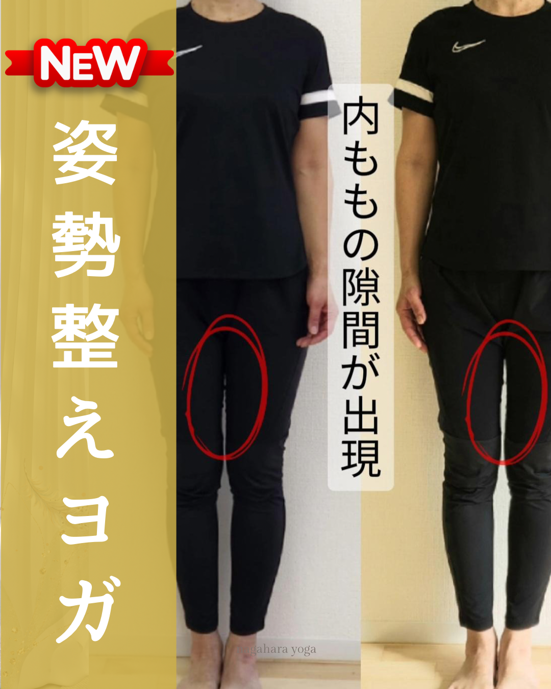1月からの新レッスン