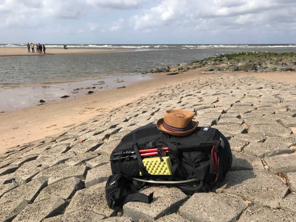 Treue Begleiter meiner Reise