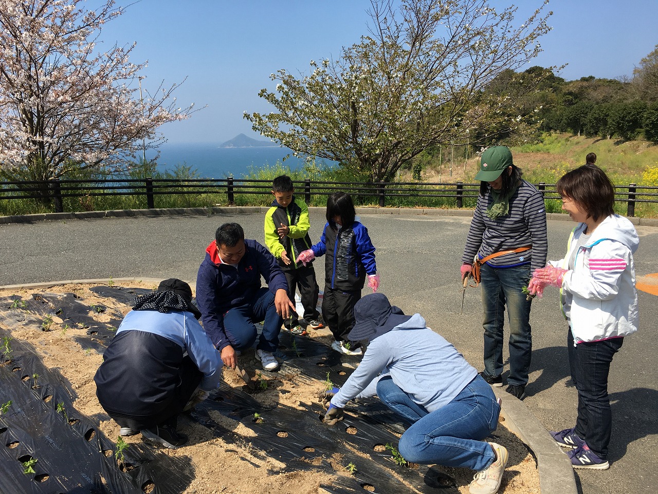 本州最西端毘沙ノ鼻にアサギマダラの休憩ポイントを作ろう！