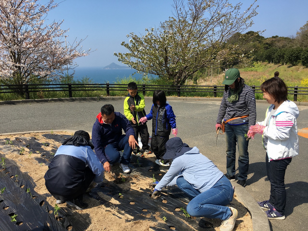 本州最西端毘沙ノ鼻にアサギマダラの休憩ポイントを作ろう！