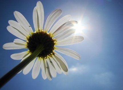 Morgenmeditation für Anfänger, Meditationstipps, Entspannung, Achtsamkeit, Meditation Online-Kurs, Meditationskurs in Zürich Oerlikon. Meditationsausbildung und Meditationslehrer Ausbildung in Zürich Oerlikon