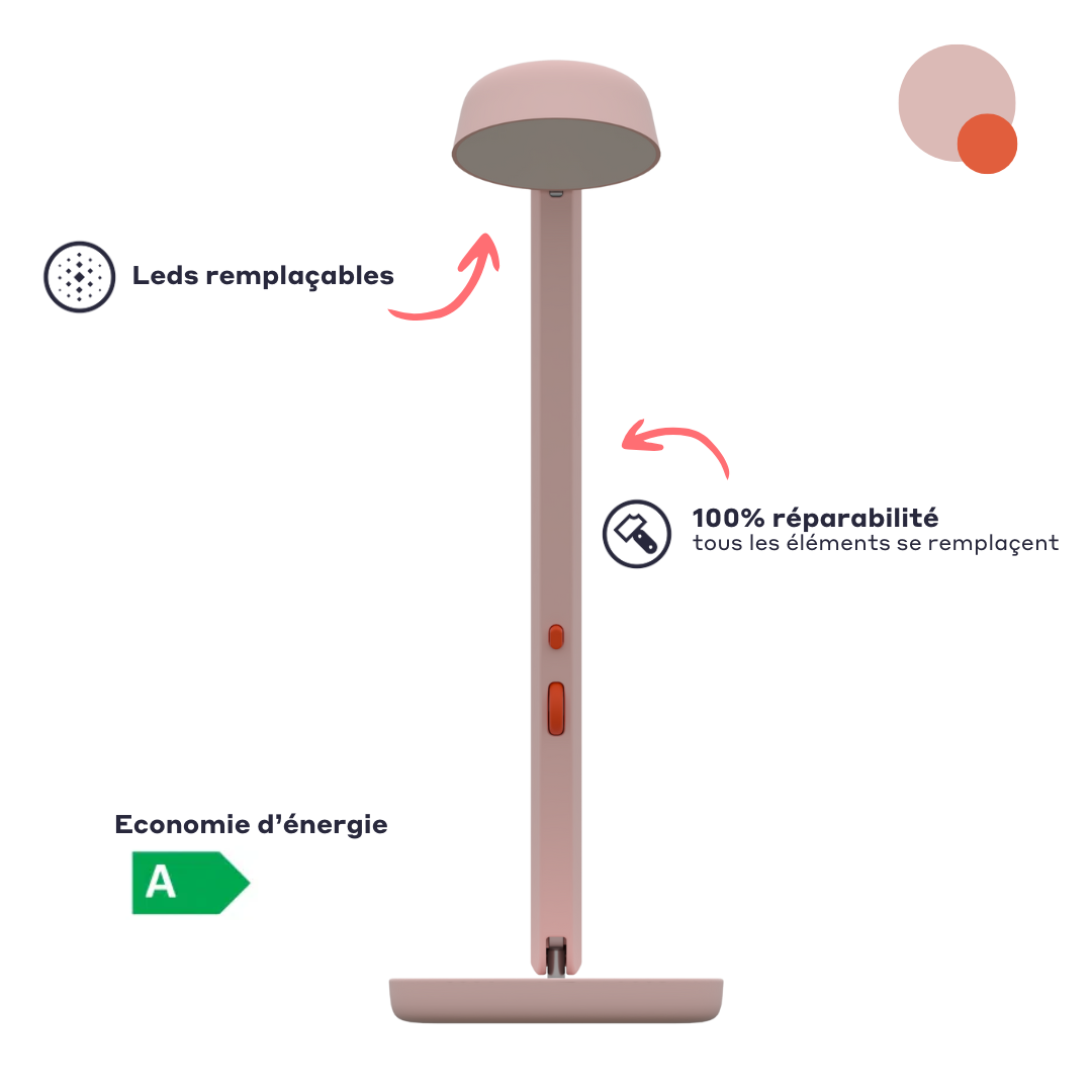 luminaire-rose-basse-consommation-classe-a.jpg