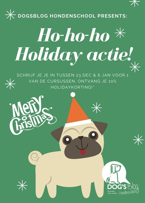 puppycursus hondenschool nunspeet harderwijk hondentraining kerstmis