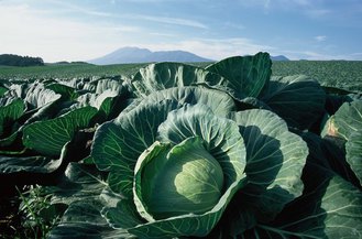 幸田町『幸田うまい～もんチケット』を発行します！