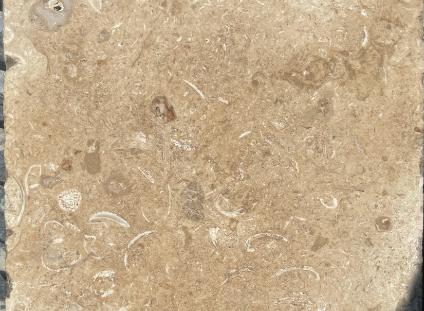 Conchuela limestone 