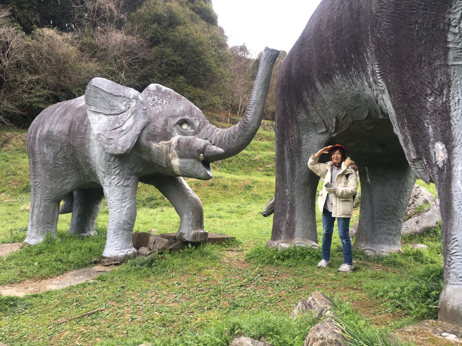 【妊活】精子の数が少ない時と運動率が高い時