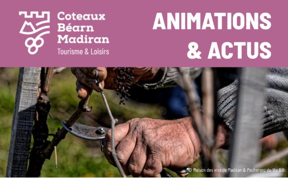 Coteaux Béarn Madiran - Animations de Février
