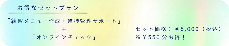 お得なセットプラン