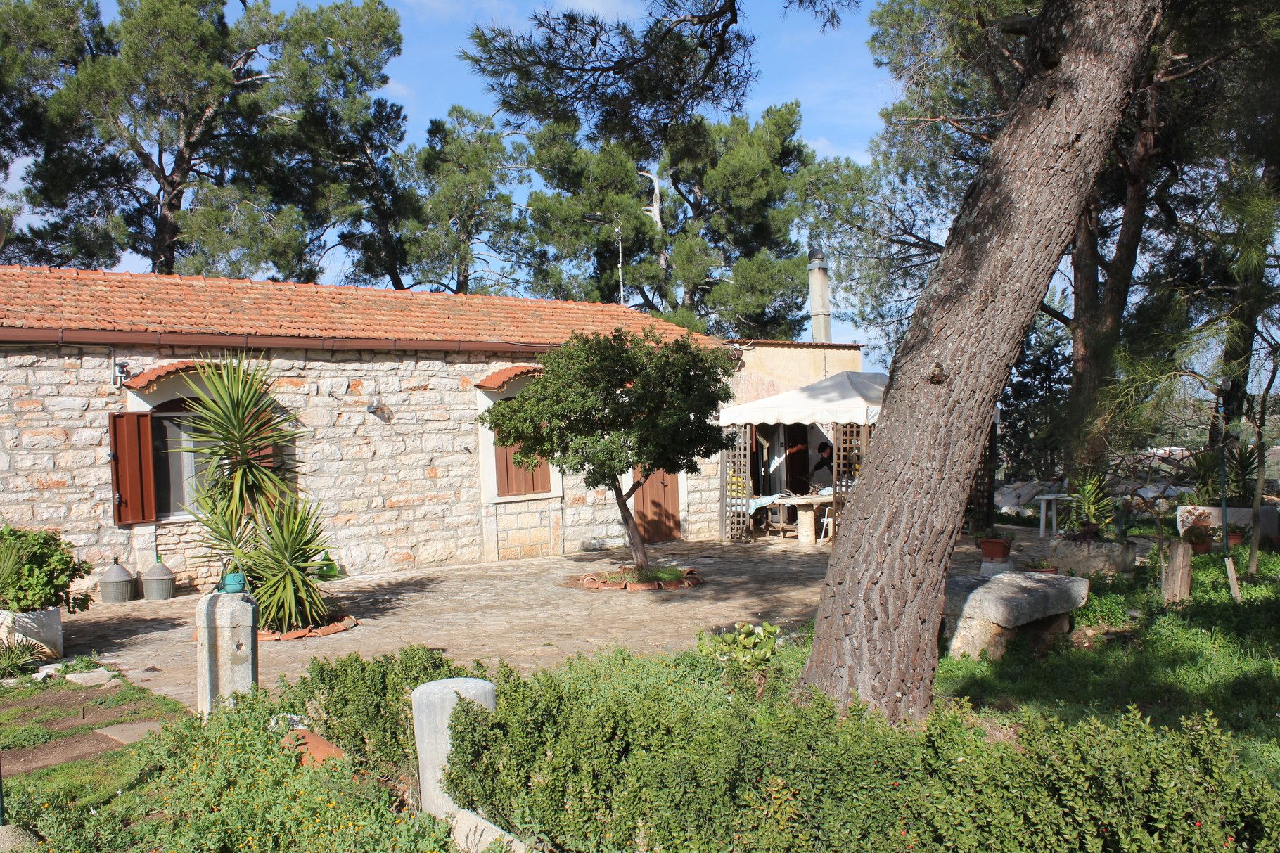 L' Azienda Agricola Antonio Memeo — foto 1