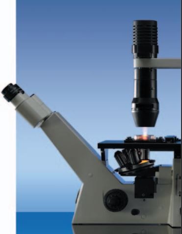 Révision de microscopes inversés par Claude Gonon Microscopie