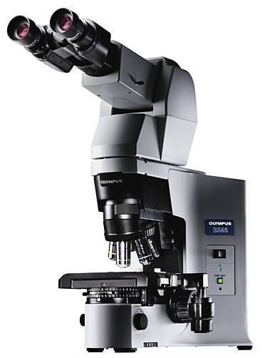 Microscope droit révisé par Claude Gonon Microscopie